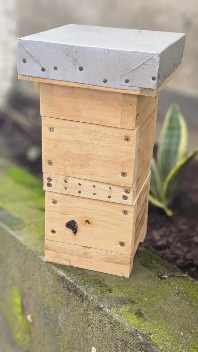 Caja para Abeja Melipona